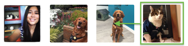 Screen_Shot_2018-06-02_at_6.04.37_PM.png