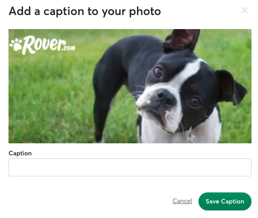 Photo_add_caption_UK.png
