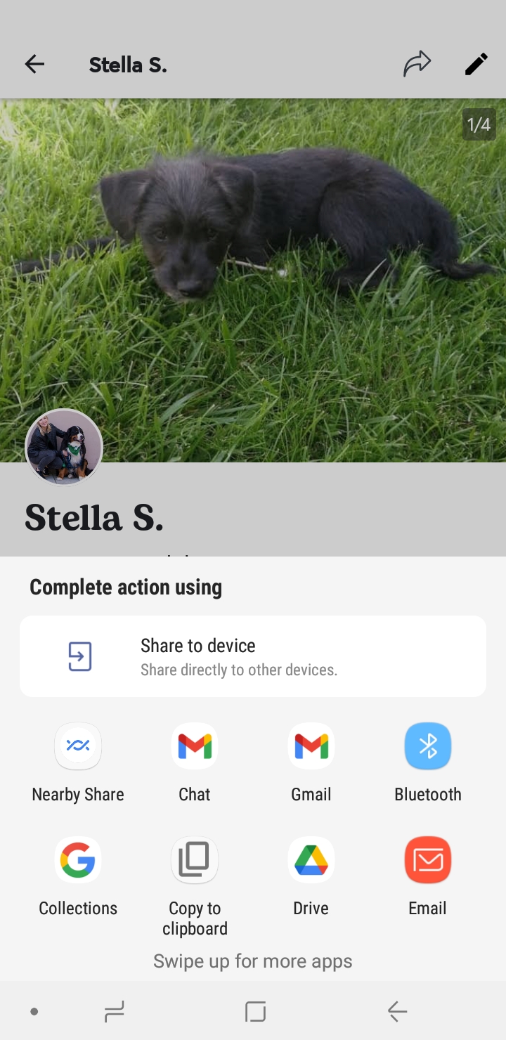 App_Android_share_profile_options_UK.jpg